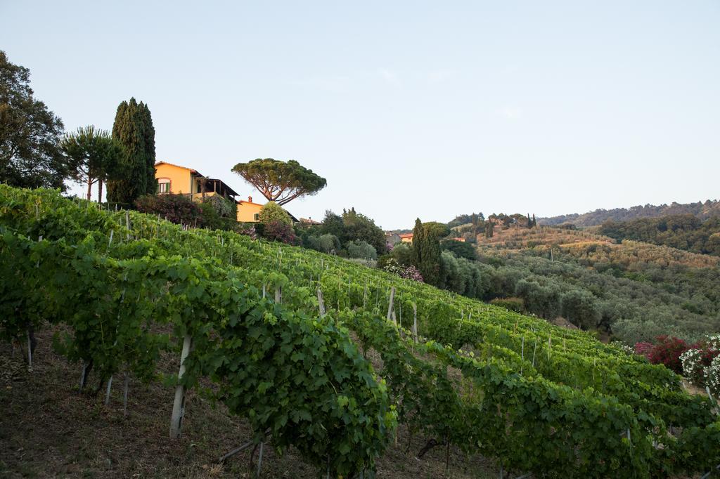 Casa Vacanze Casa Italia Lamporecchio Exteriér fotografie